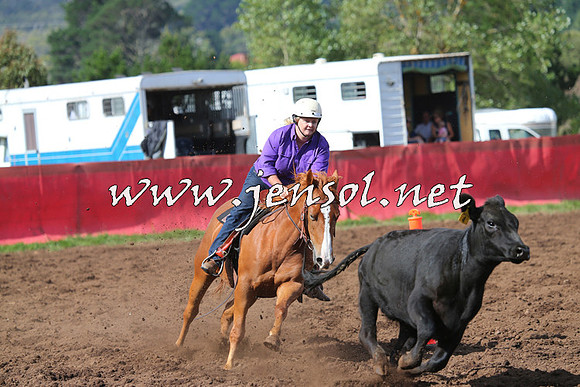 NimmitabelCampdraft2015_0554