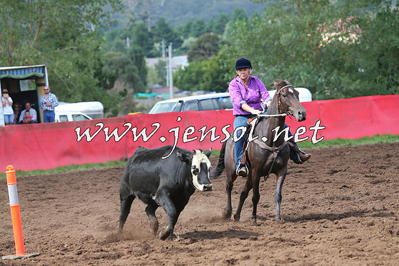 NimmitabelCampdraft2015_0320