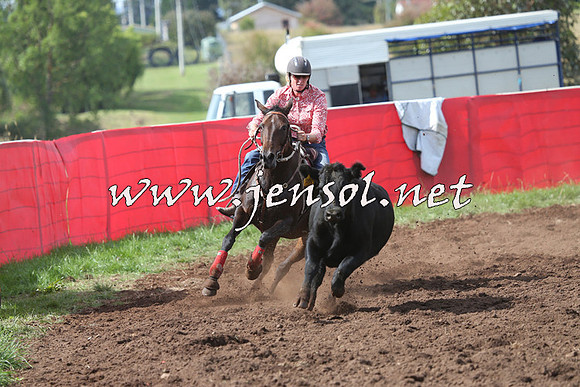 NimmitabelCampdraft2015_0414