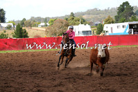 NimmitabelCampdraft2015_0308