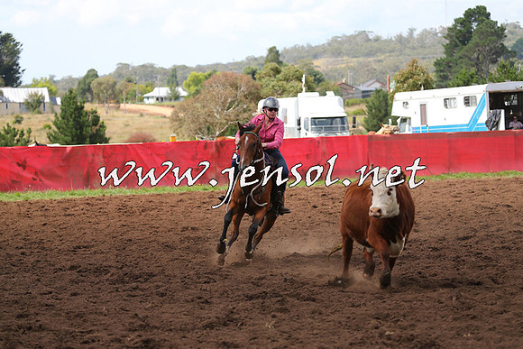 NimmitabelCampdraft2015_0308