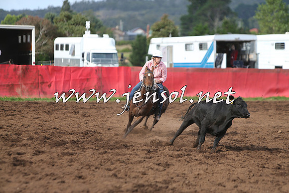 NimmitabelCampdraft2015_0652