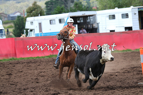 NimmitabelCampdraft2015_0358