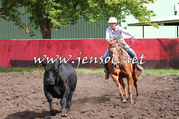 NimmitabelCampdraft2015_0348