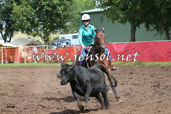 NimmitabelCampdraft2015_0333