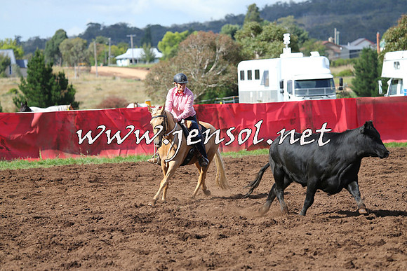 NimmitabelCampdraft2015_0548