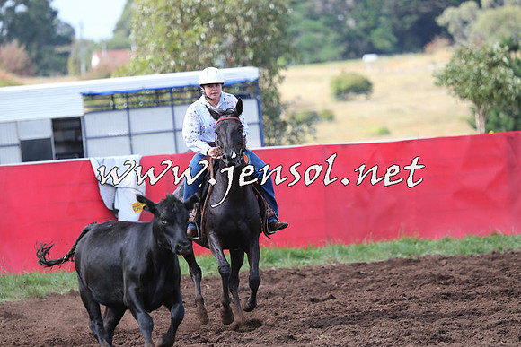 NimmitabelCampdraft2015_0464