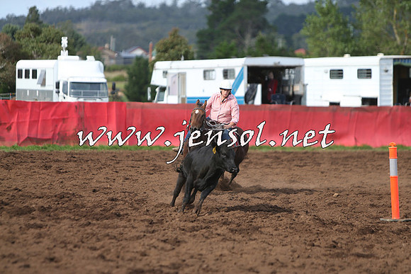NimmitabelCampdraft2015_0650