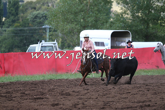 NimmitabelCampdraft2015_0489