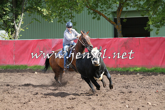 NimmitabelCampdraft2015_0539