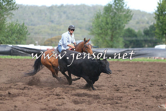 NimmitabelCampdraft2015_0640