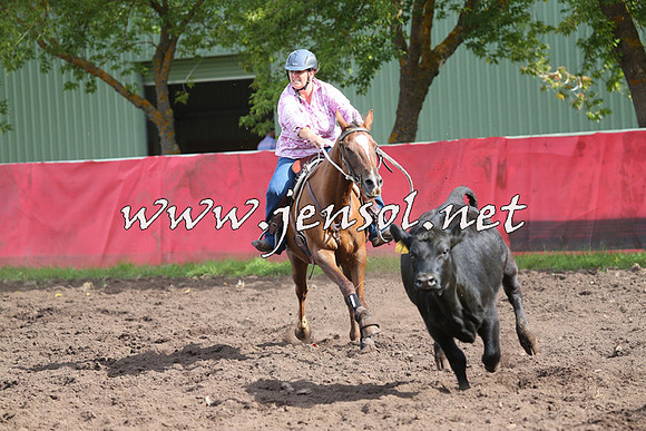 NimmitabelCampdraft2015_0570