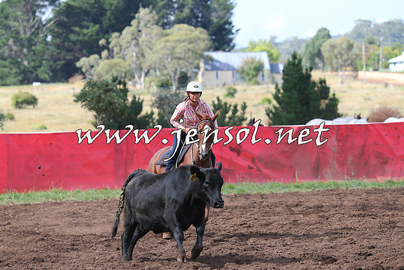 NimmitabelCampdraft2015_0479