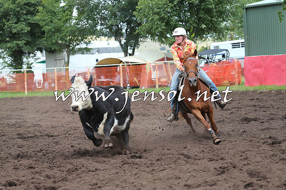NimmitabelCampdraft2015_0366