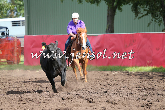 NimmitabelCampdraft2015_0561