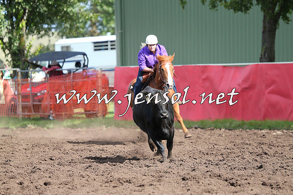 NimmitabelCampdraft2015_0563