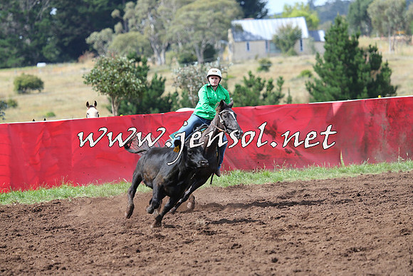 NimmitabelCampdraft2015_0384