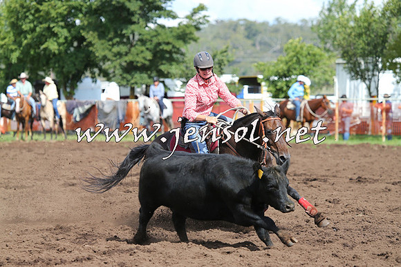NimmitabelCampdraft2015_0425