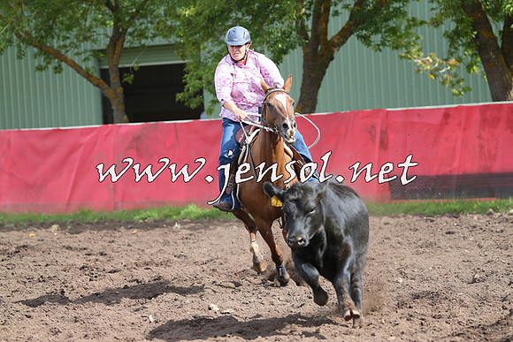 NimmitabelCampdraft2015_0575