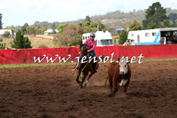 NimmitabelCampdraft2015_0309
