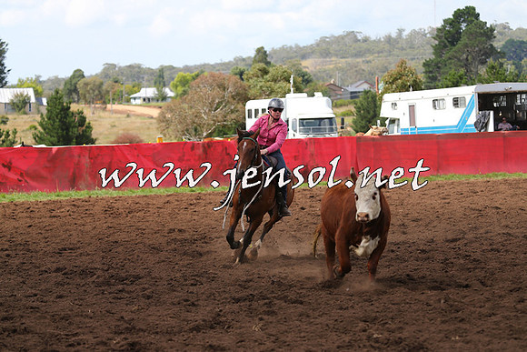 NimmitabelCampdraft2015_0309