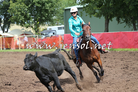 NimmitabelCampdraft2015_0336