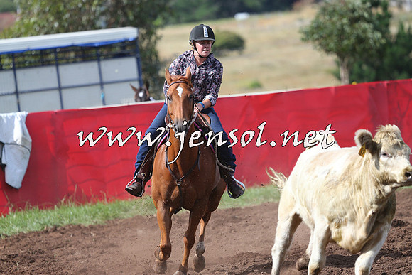NimmitabelCampdraft2015_0458