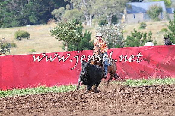 NimmitabelCampdraft2015_0577