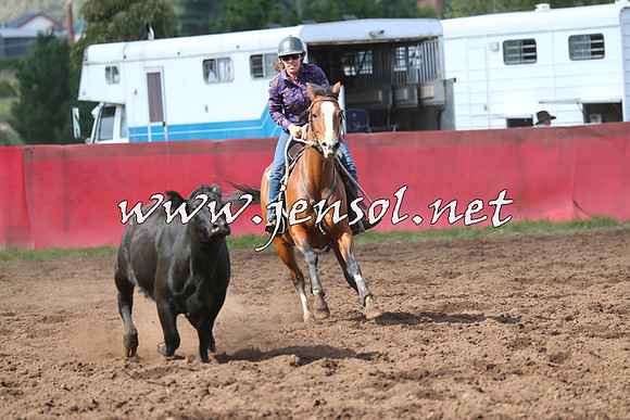 NimmitabelCampdraft2015_0497