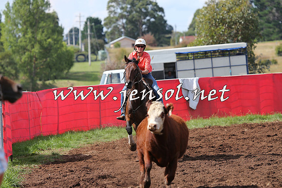 NimmitabelCampdraft2015_0450