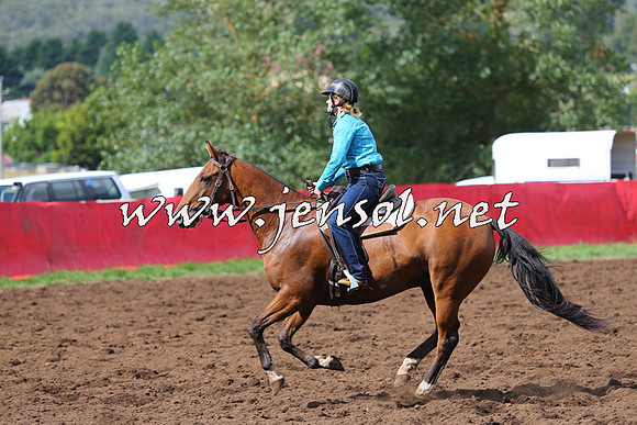 NimmitabelCampdraft2015_0393