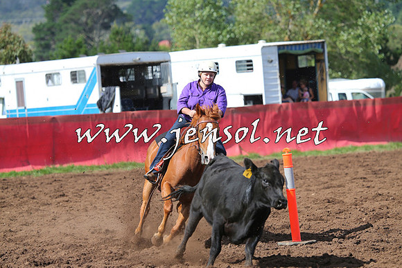 NimmitabelCampdraft2015_0555