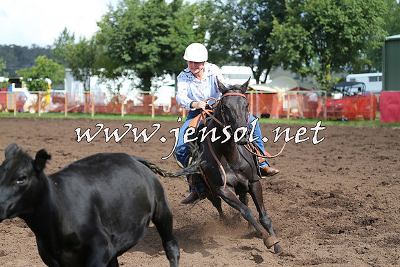 NimmitabelCampdraft2015_0471