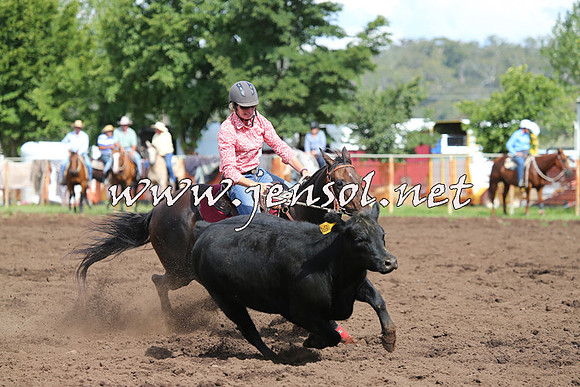 NimmitabelCampdraft2015_0417
