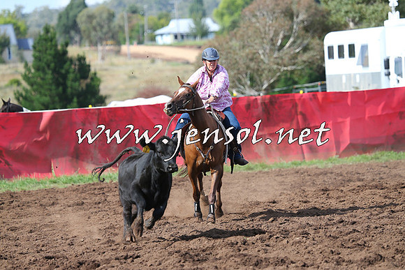 NimmitabelCampdraft2015_0567