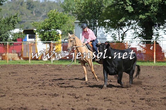 NimmitabelCampdraft2015_0549