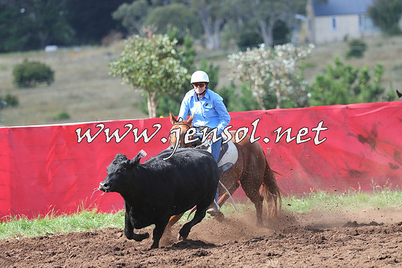 NimmitabelCampdraft2015_0514