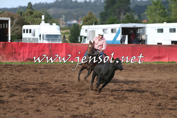 NimmitabelCampdraft2015_0648