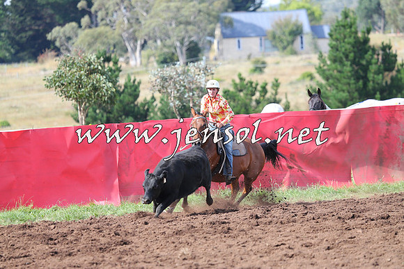NimmitabelCampdraft2015_0581
