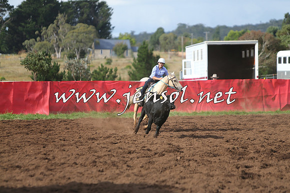 NimmitabelCampdraft2015_0661