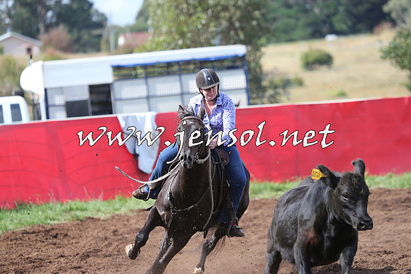 NimmitabelCampdraft2015_0598
