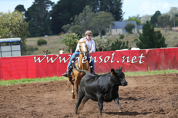 NimmitabelCampdraft2015_0373