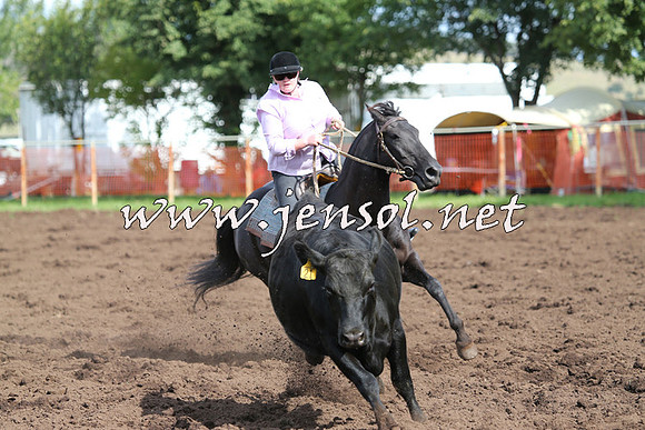 NimmitabelCampdraft2015_0594