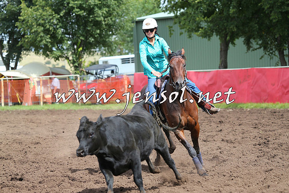 NimmitabelCampdraft2015_0332