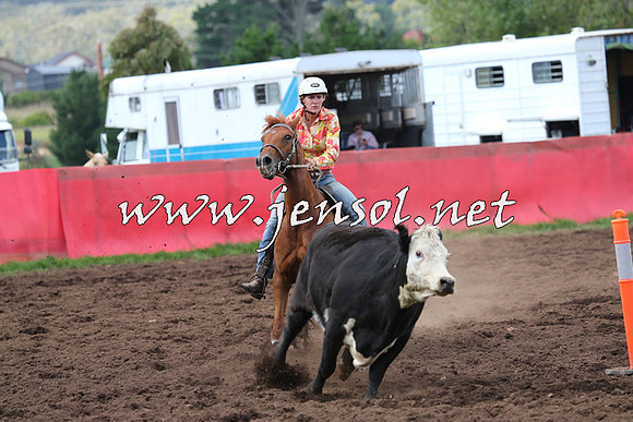 NimmitabelCampdraft2015_0360
