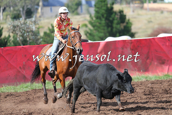 NimmitabelCampdraft2015_0586