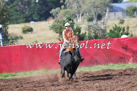 NimmitabelCampdraft2015_0591