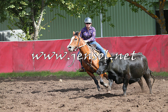 NimmitabelCampdraft2015_0498