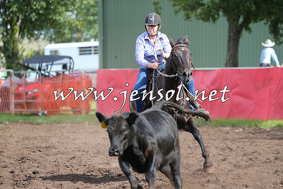NimmitabelCampdraft2015_0612