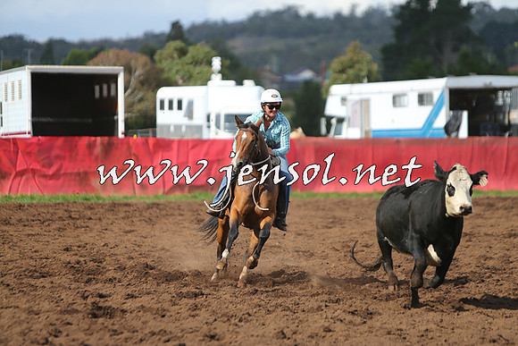 NimmitabelCampdraft2015_0621